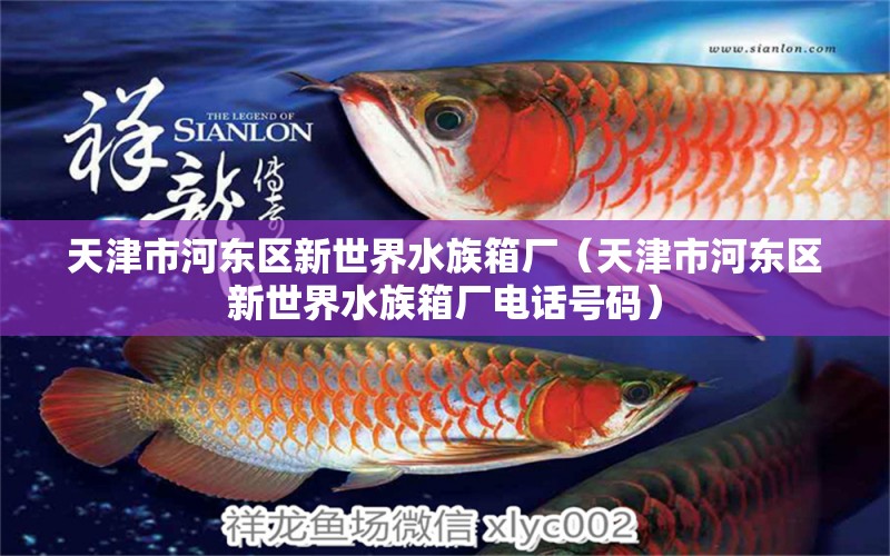 天津市河东区新世界水族箱厂（天津市河东区新世界水族箱厂电话号码） 鱼缸/水族箱