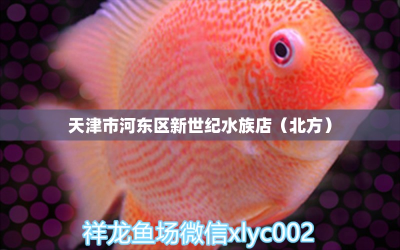 天津市河东区新世纪水族店（北方） 全国水族馆企业名录