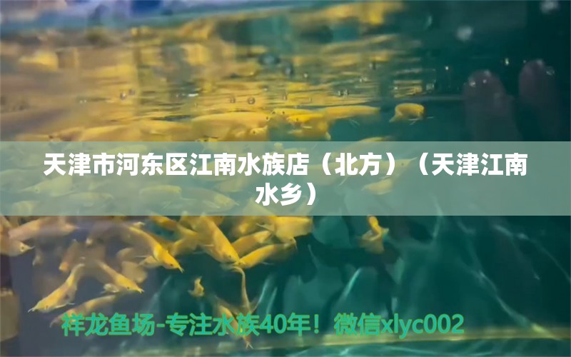 天津市河东区江南水族店（北方）（天津江南水乡）