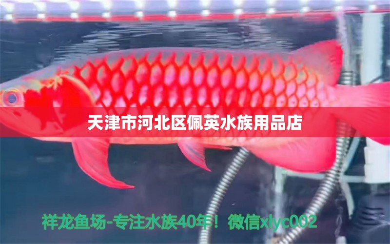 天津市河北区佩英水族用品店