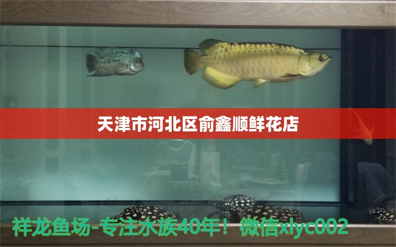 天津市河北区俞鑫顺鲜花店 全国水族馆企业名录