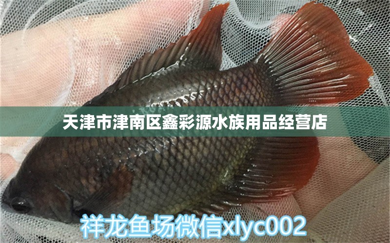 天津市津南区鑫彩源水族用品经营店