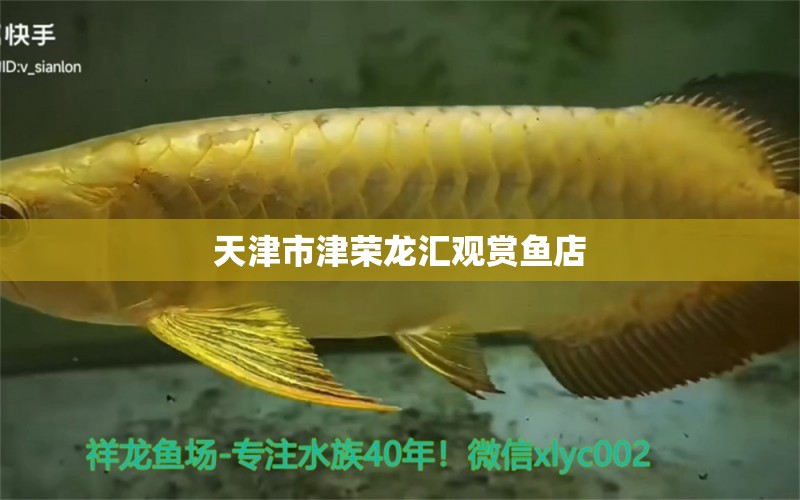 天津市津荣龙汇观赏鱼店 全国水族馆企业名录