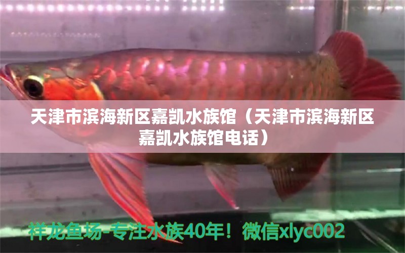 天津市滨海新区嘉凯水族馆（天津市滨海新区嘉凯水族馆电话）