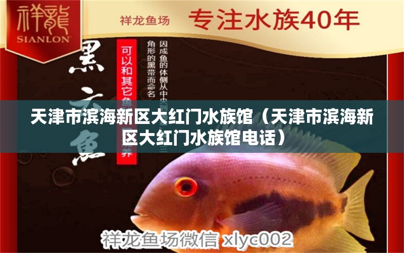 天津市滨海新区大红门水族馆（天津市滨海新区大红门水族馆电话）