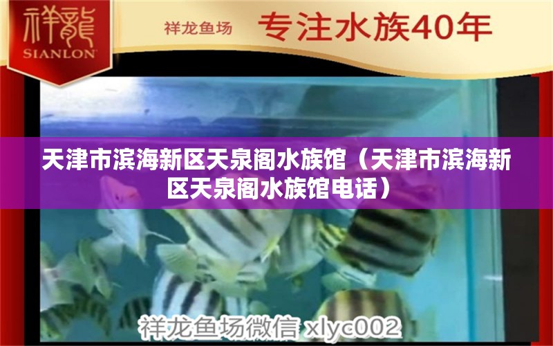 天津市滨海新区天泉阁水族馆（天津市滨海新区天泉阁水族馆电话）