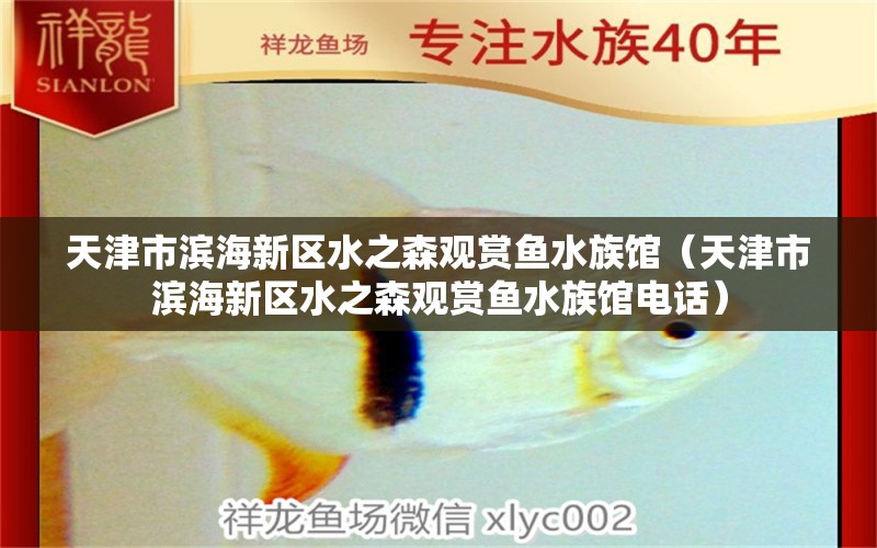 天津市滨海新区水之森观赏鱼水族馆（天津市滨海新区水之森观赏鱼水族馆电话）