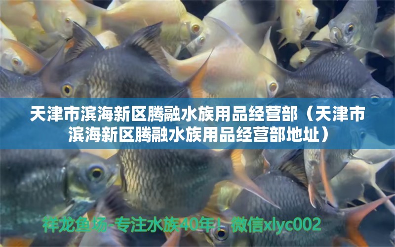 天津市滨海新区腾融水族用品经营部（天津市滨海新区腾融水族用品经营部地址）