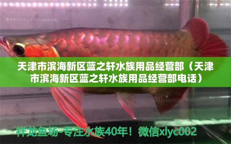 天津市滨海新区蓝之轩水族用品经营部（天津市滨海新区蓝之轩水族用品经营部电话） 水族用品