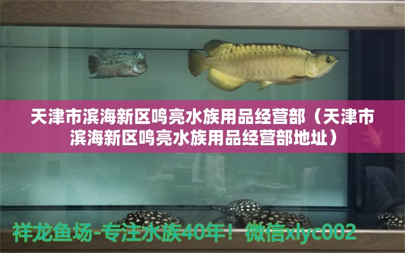 天津市滨海新区鸣亮水族用品经营部（天津市滨海新区鸣亮水族用品经营部地址） 水族用品