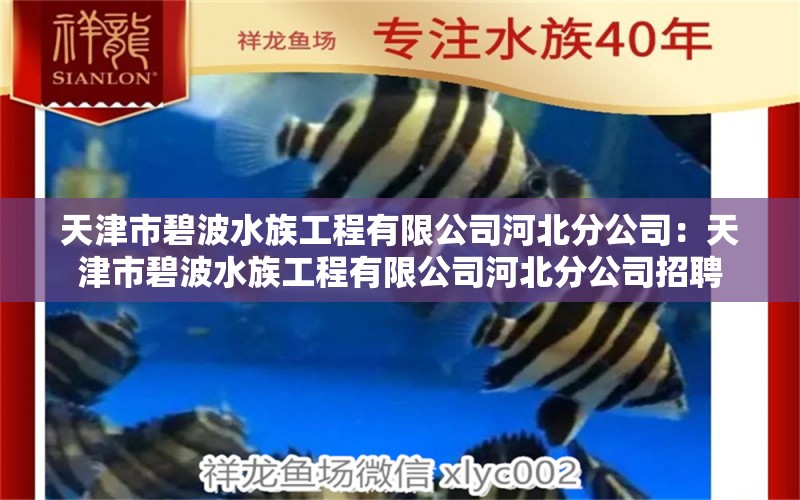 天津市碧波水族工程有限公司河北分公司：天津市碧波水族工程有限公司河北分公司招聘