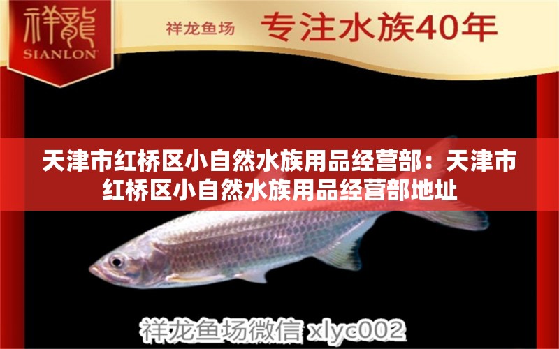 天津市红桥区小自然水族用品经营部：天津市红桥区小自然水族用品经营部地址