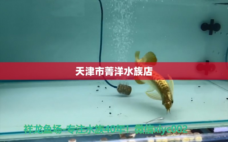 天津市菁洋水族店 全国水族馆企业名录 第2张