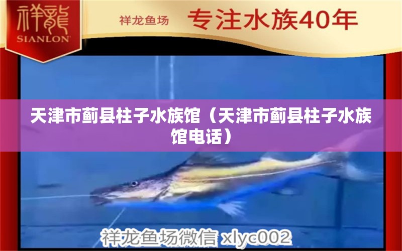 天津市蓟县柱子水族馆（天津市蓟县柱子水族馆电话）