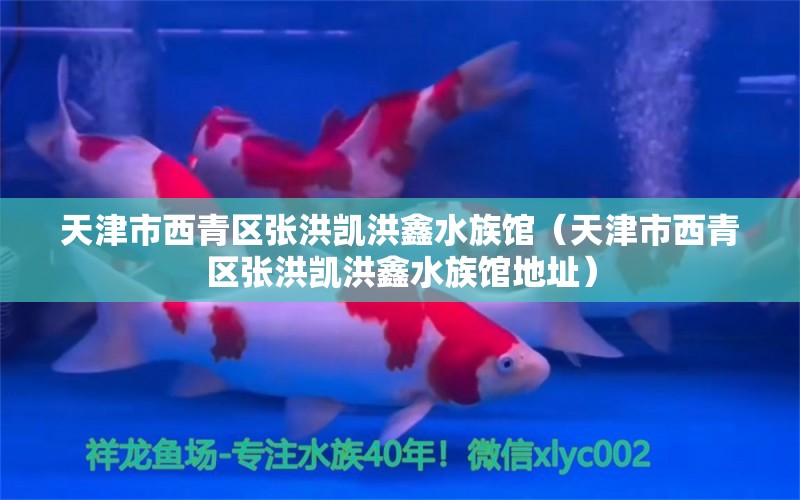 天津市西青区张洪凯洪鑫水族馆（天津市西青区张洪凯洪鑫水族馆地址） 全国水族馆企业名录