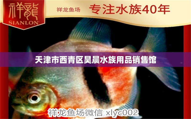 天津市西青区昊晨水族用品销售馆