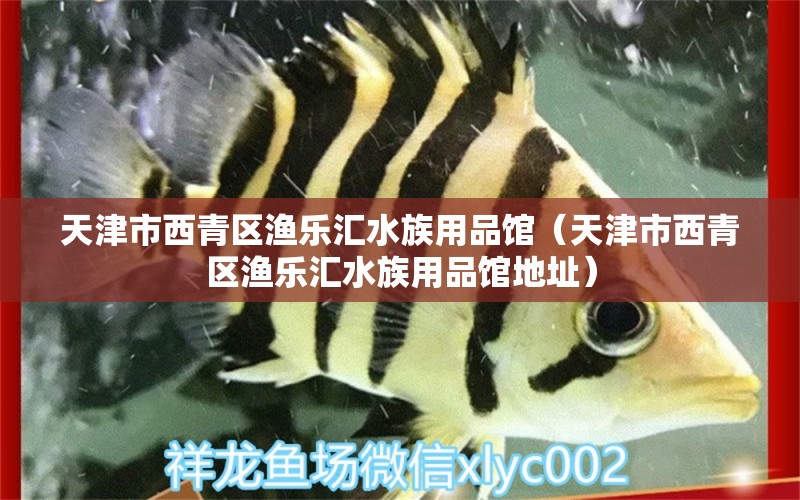 天津市西青区渔乐汇水族用品馆（天津市西青区渔乐汇水族用品馆地址）