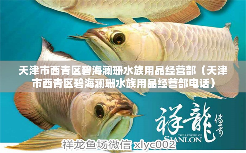 天津市西青区碧海澜珊水族用品经营部（天津市西青区碧海澜珊水族用品经营部电话） 水族用品