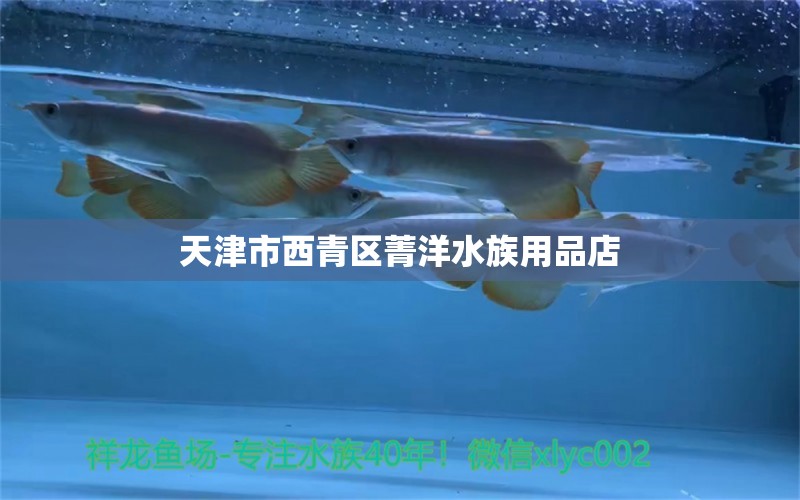 天津市西青区菁洋水族用品店 水族用品