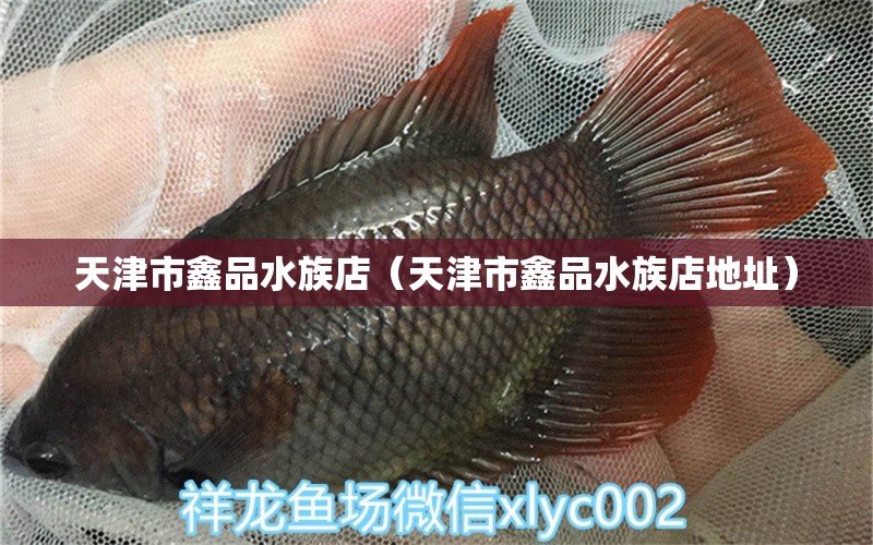 天津市鑫品水族店（天津市鑫品水族店地址）