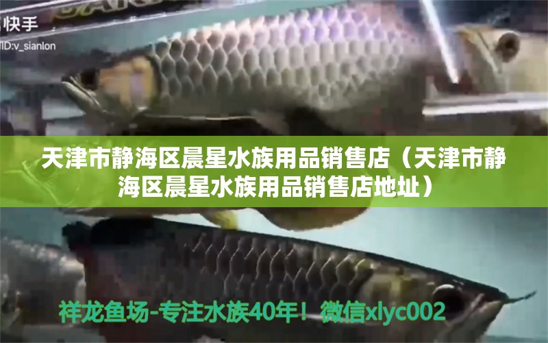 天津市静海区晨星水族用品销售店（天津市静海区晨星水族用品销售店地址）