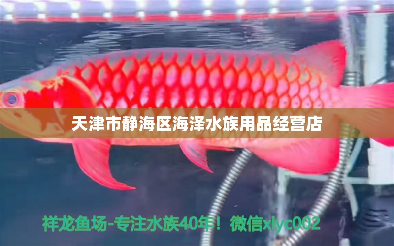 天津市静海区海泽水族用品经营店