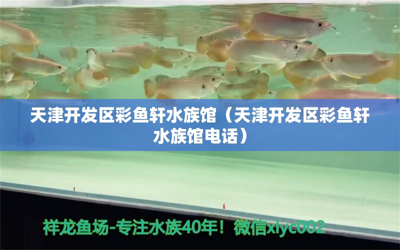 天津开发区彩鱼轩水族馆（天津开发区彩鱼轩水族馆电话） 全国水族馆企业名录