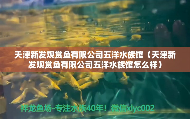 天津新发观赏鱼有限公司五洋水族馆（天津新发观赏鱼有限公司五洋水族馆怎么样） 全国水族馆企业名录