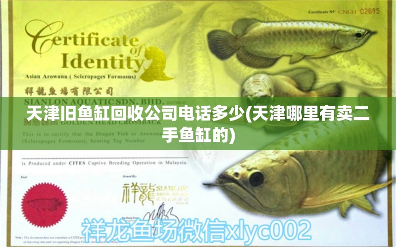 天津旧鱼缸回收公司电话多少(天津哪里有卖二手鱼缸的) 水族杂谈