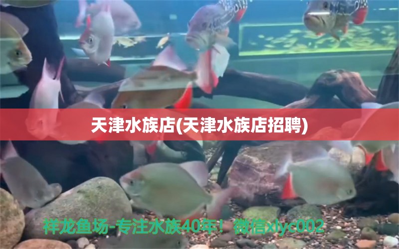 天津水族店(天津水族店招聘)