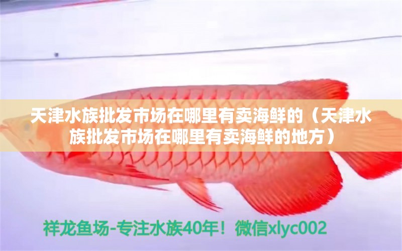 天津水族批发市场在哪里有卖海鲜的（天津水族批发市场在哪里有卖海鲜的地方）