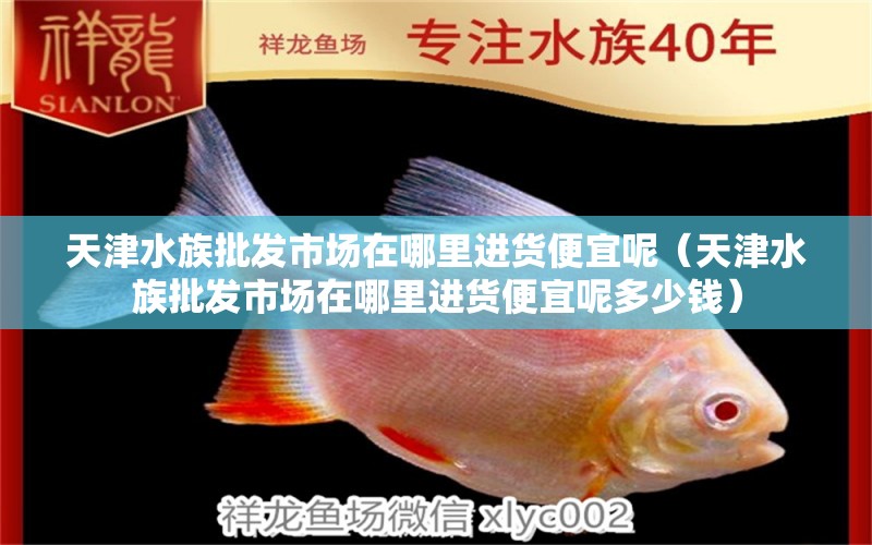 天津水族批发市场在哪里进货便宜呢（天津水族批发市场在哪里进货便宜呢多少钱）