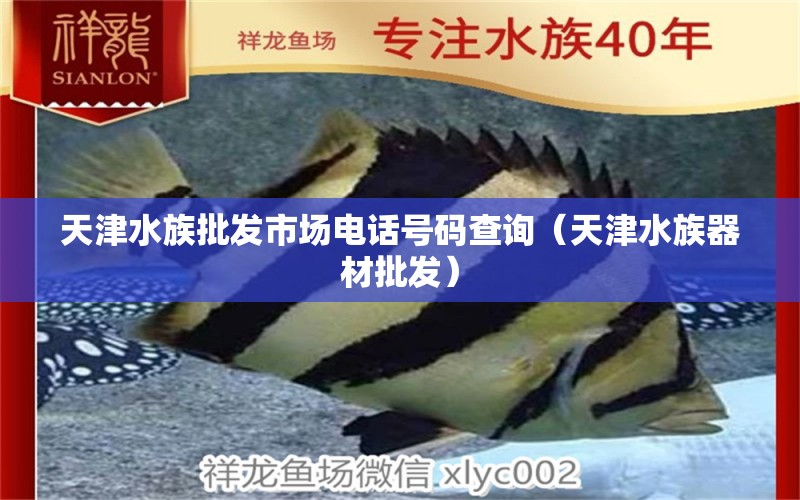 天津水族批发市场电话号码查询（天津水族器材批发）