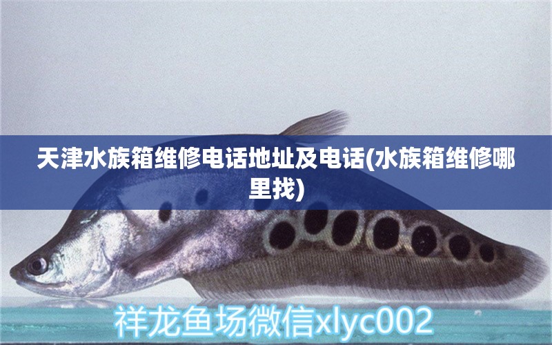 天津水族箱维修电话地址及电话(水族箱维修哪里找) 鱼缸/水族箱