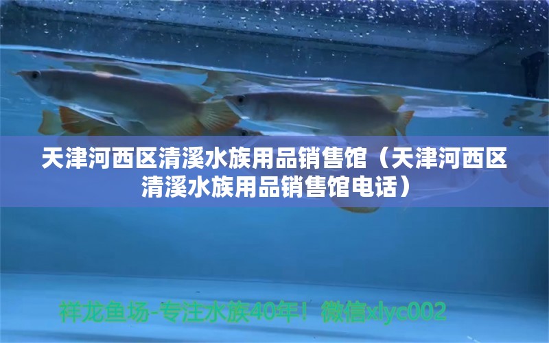 天津河西区清溪水族用品销售馆（天津河西区清溪水族用品销售馆电话） 水族用品