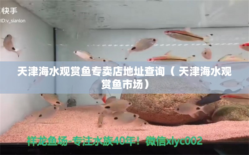 天津海水观赏鱼专卖店地址查询（ 天津海水观赏鱼市场）