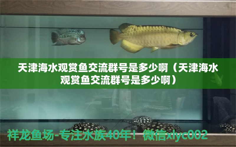 天津海水观赏鱼交流群号是多少啊（天津海水观赏鱼交流群号是多少啊）