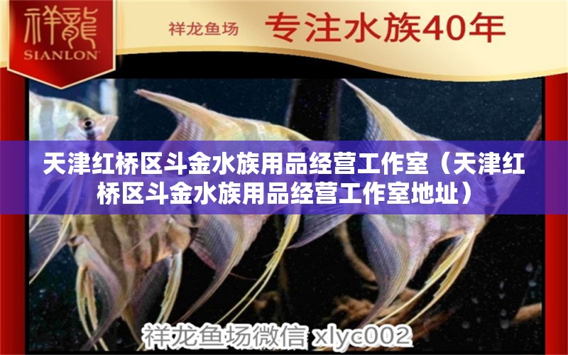 天津红桥区斗金水族用品经营工作室（天津红桥区斗金水族用品经营工作室地址） 水族用品