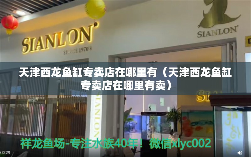 天津西龙鱼缸专卖店在哪里有（天津西龙鱼缸专卖店在哪里有卖）