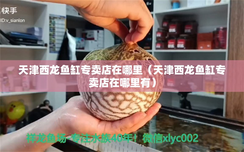 天津西龙鱼缸专卖店在哪里（天津西龙鱼缸专卖店在哪里有）