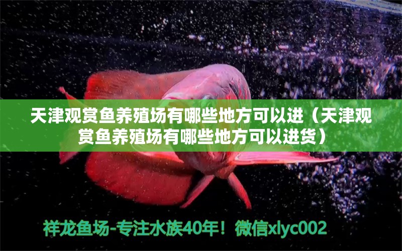 天津观赏鱼养殖场有哪些地方可以进（天津观赏鱼养殖场有哪些地方可以进货）