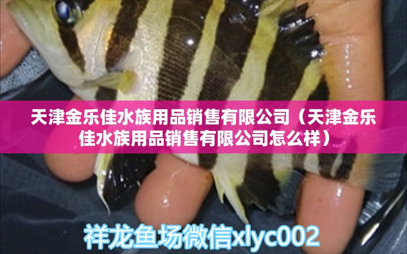 天津金乐佳水族用品销售有限公司（天津金乐佳水族用品销售有限公司怎么样）