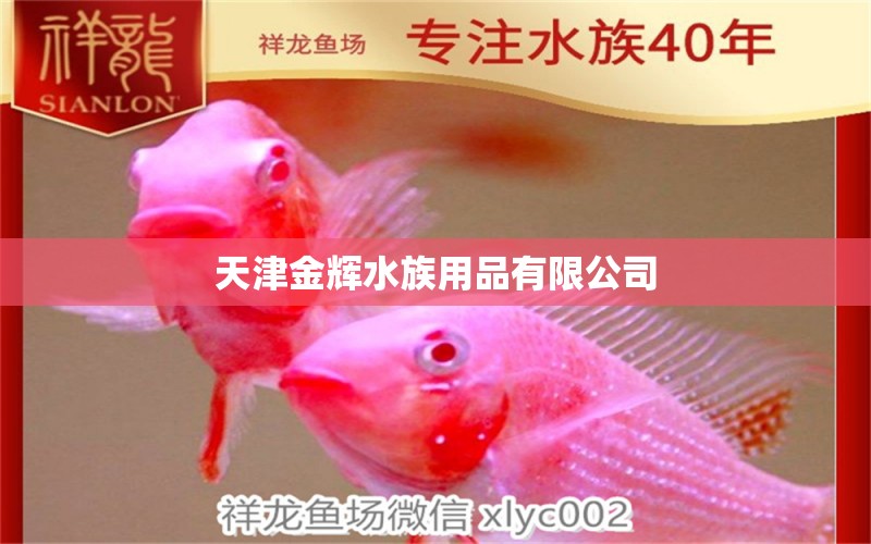 天津金辉水族用品有限公司 水族用品 第2张