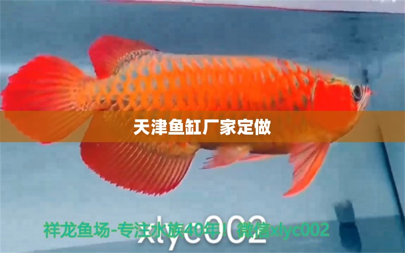 天津鱼缸厂家定做 其他品牌鱼缸