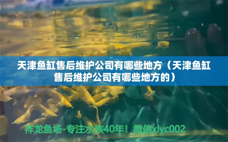 天津鱼缸售后维护公司有哪些地方（天津鱼缸售后维护公司有哪些地方的） 其他品牌鱼缸