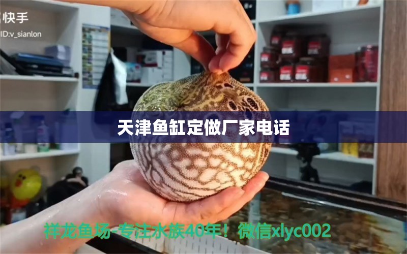 天津鱼缸定做厂家电话