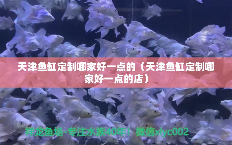 天津鱼缸定制哪家好一点的（天津鱼缸定制哪家好一点的店） 祥龙水族医院