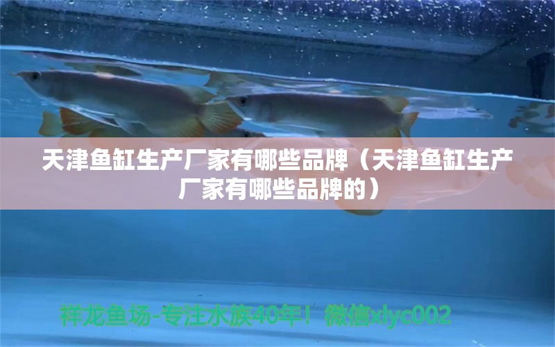 天津鱼缸生产厂家有哪些品牌（天津鱼缸生产厂家有哪些品牌的） 其他品牌鱼缸