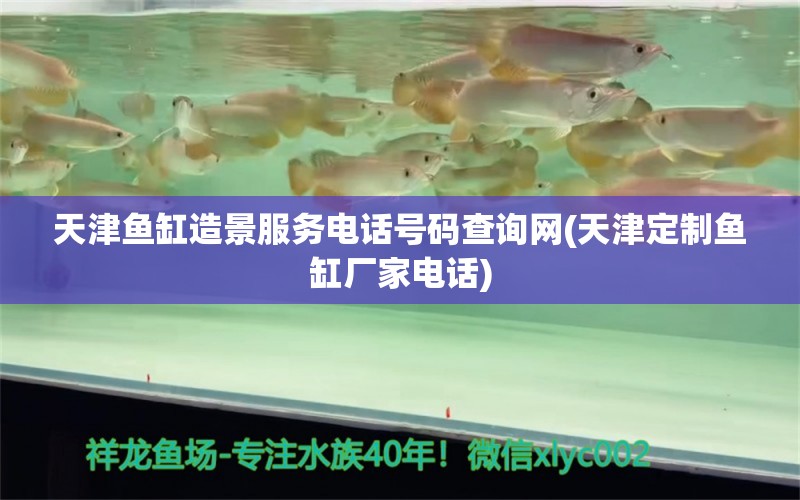 天津鱼缸造景服务电话号码查询网(天津定制鱼缸厂家电话)