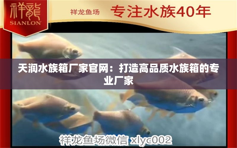 天润水族箱厂家官网：打造高品质水族箱的专业厂家